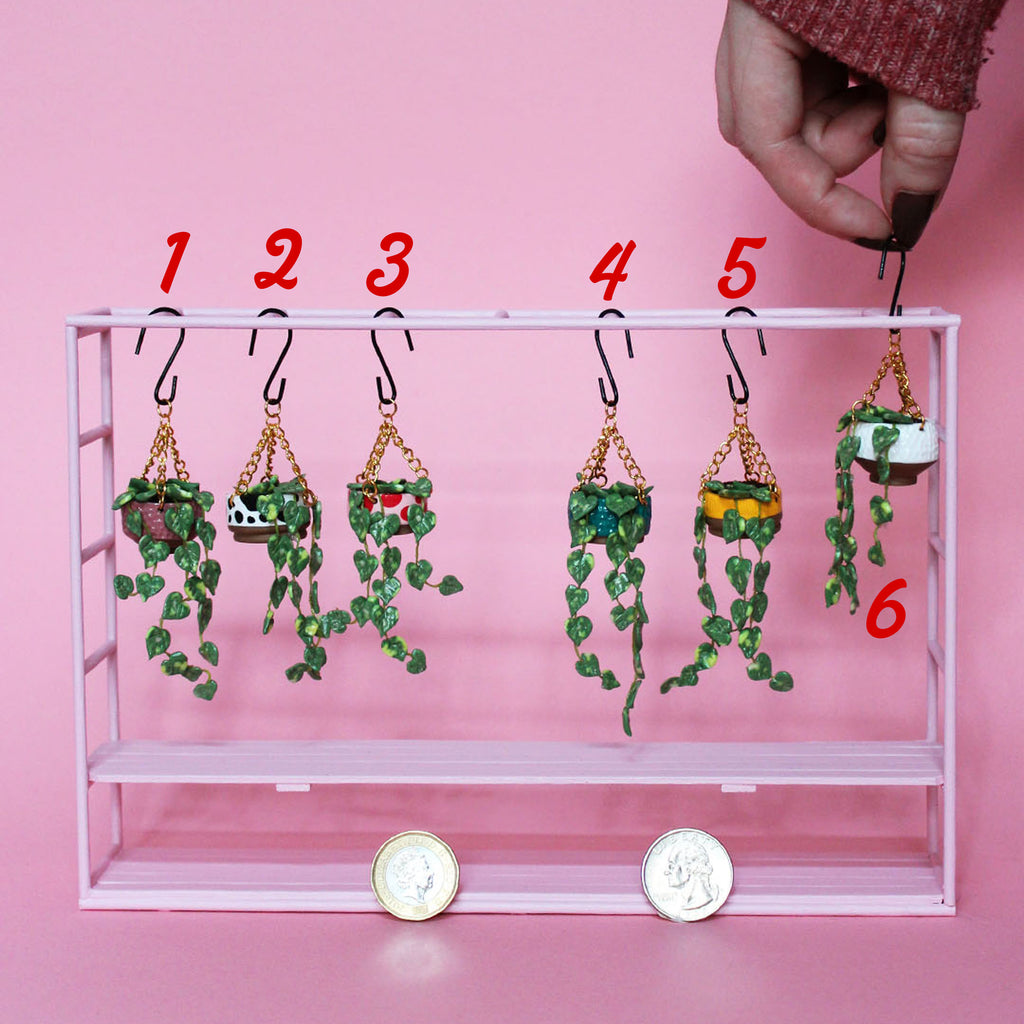 Miniature Hanging Plant