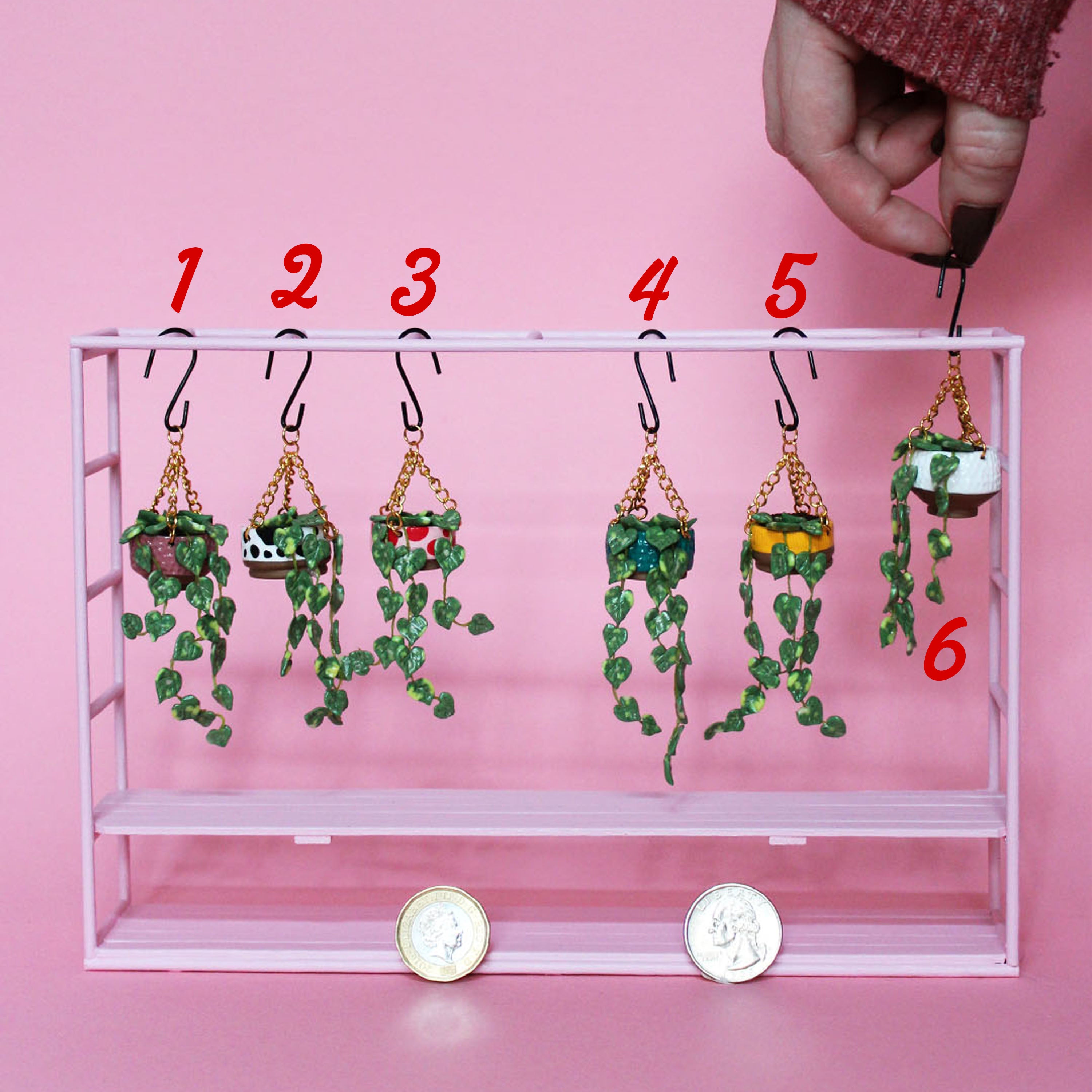 Miniature Hanging Plant
