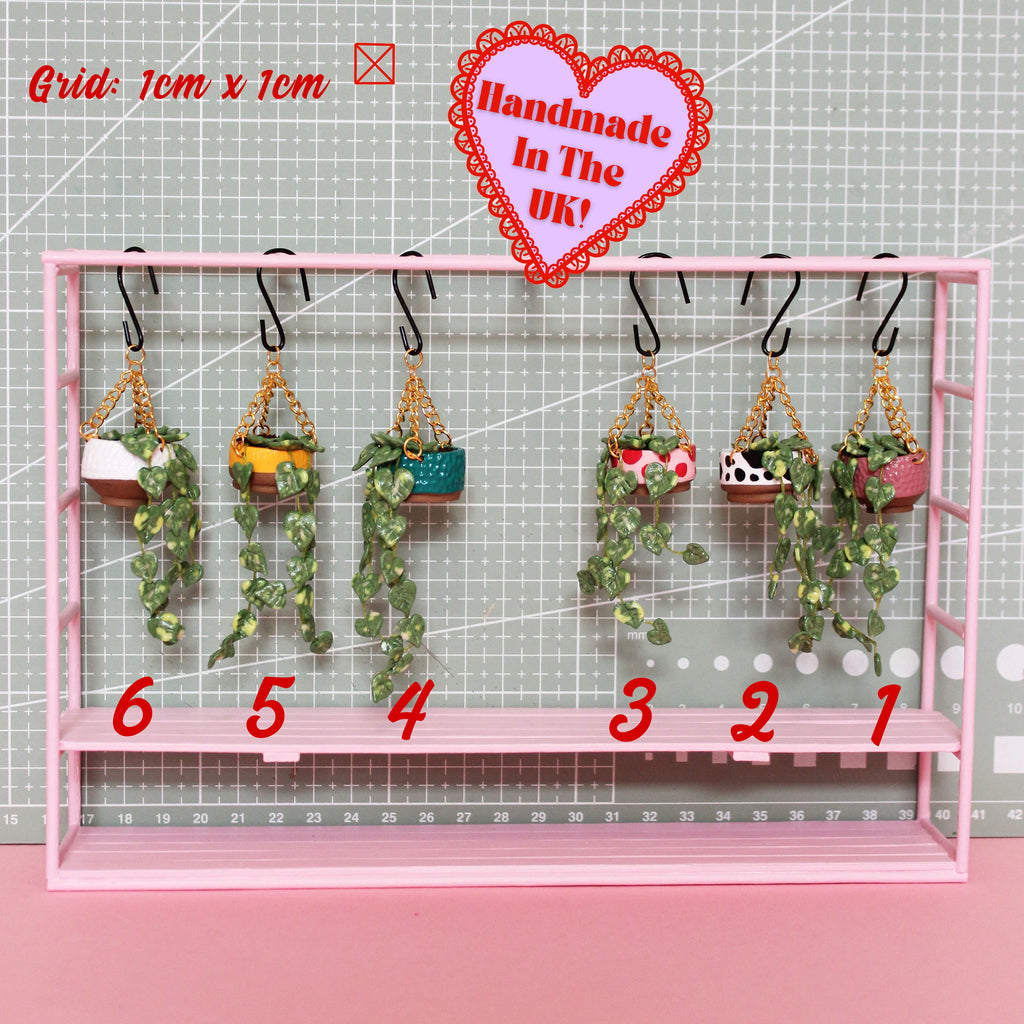 Miniature Hanging Plant
