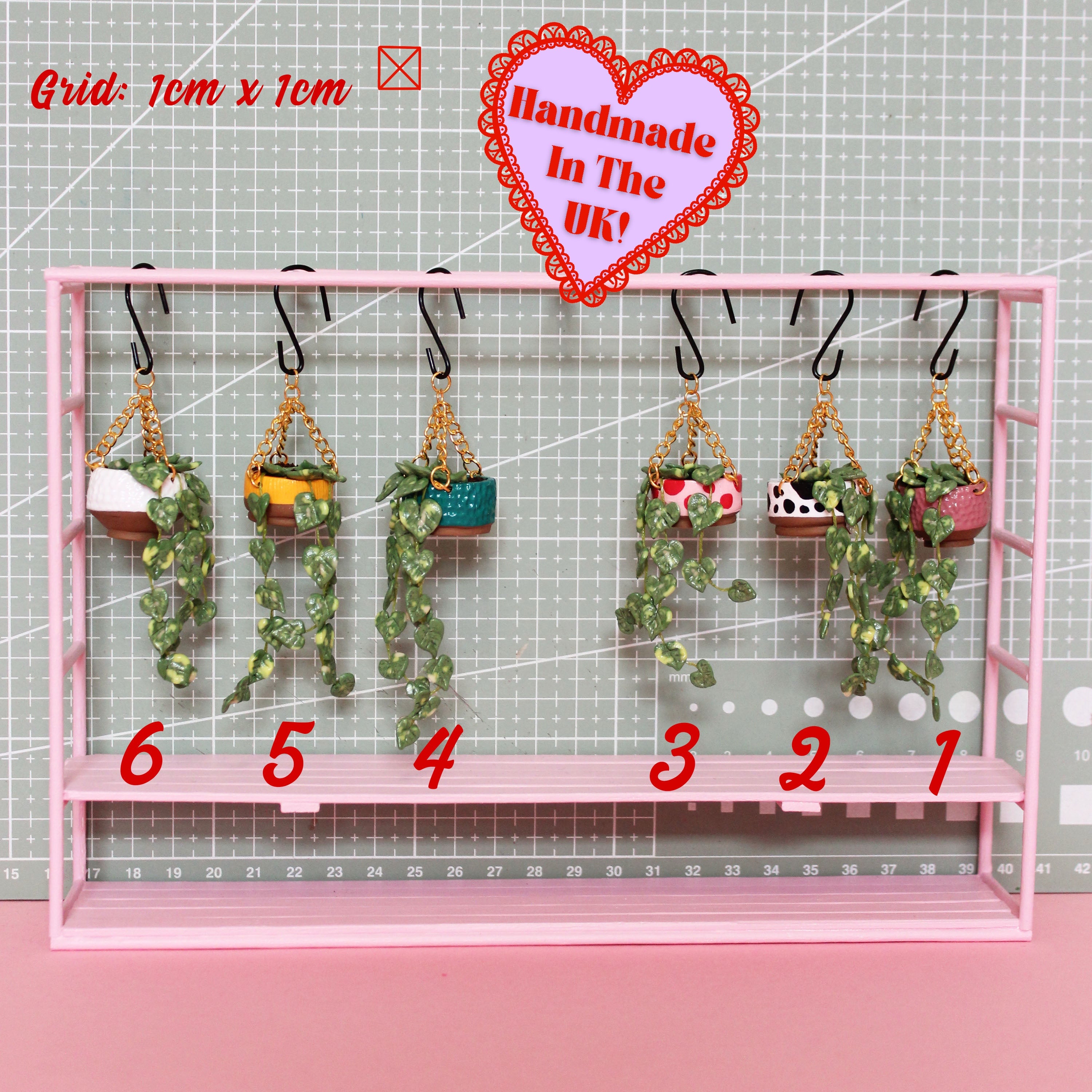 Miniature Hanging Plant