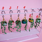 Miniature Hanging Plant