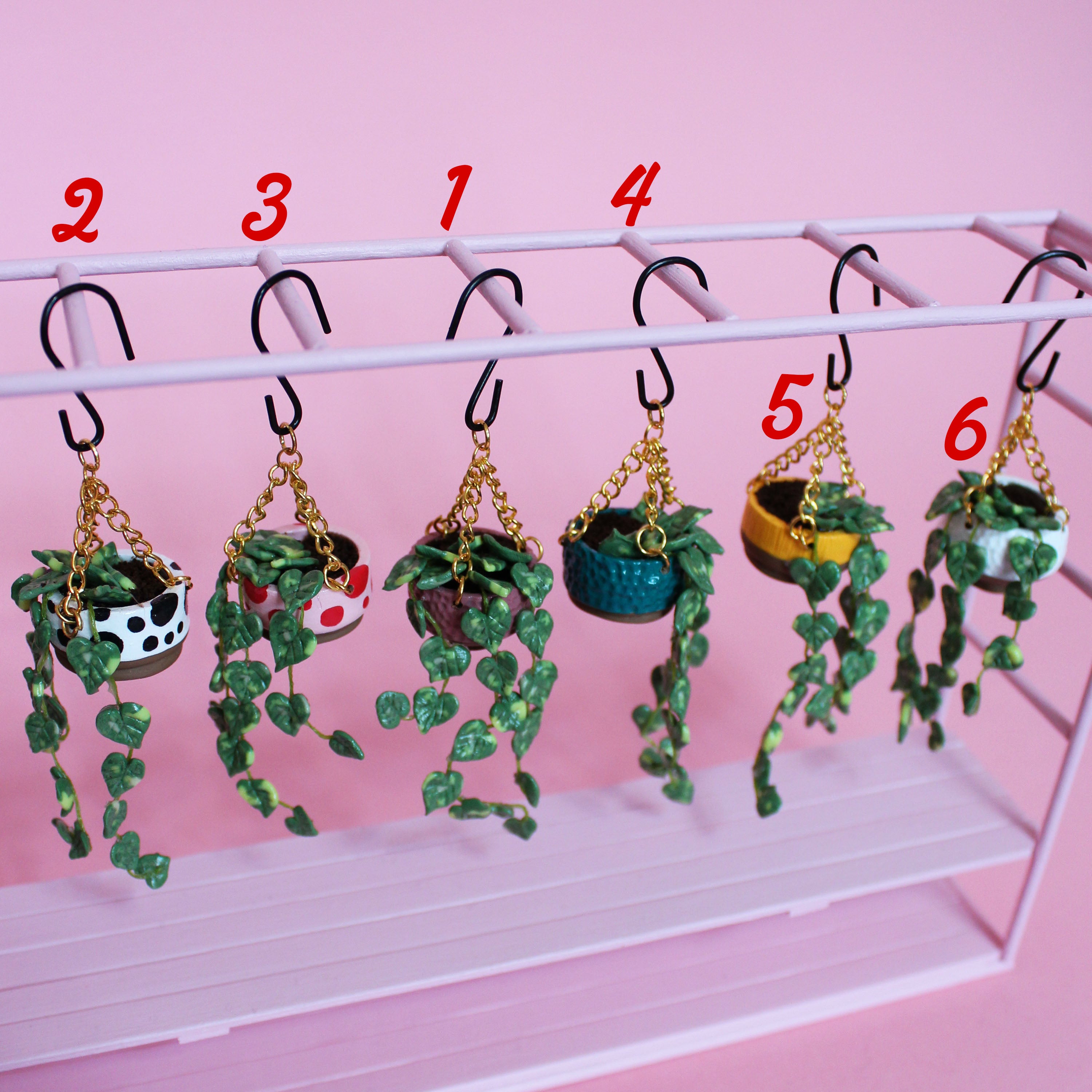 Miniature Hanging Plant