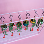 Miniature Hanging Plant