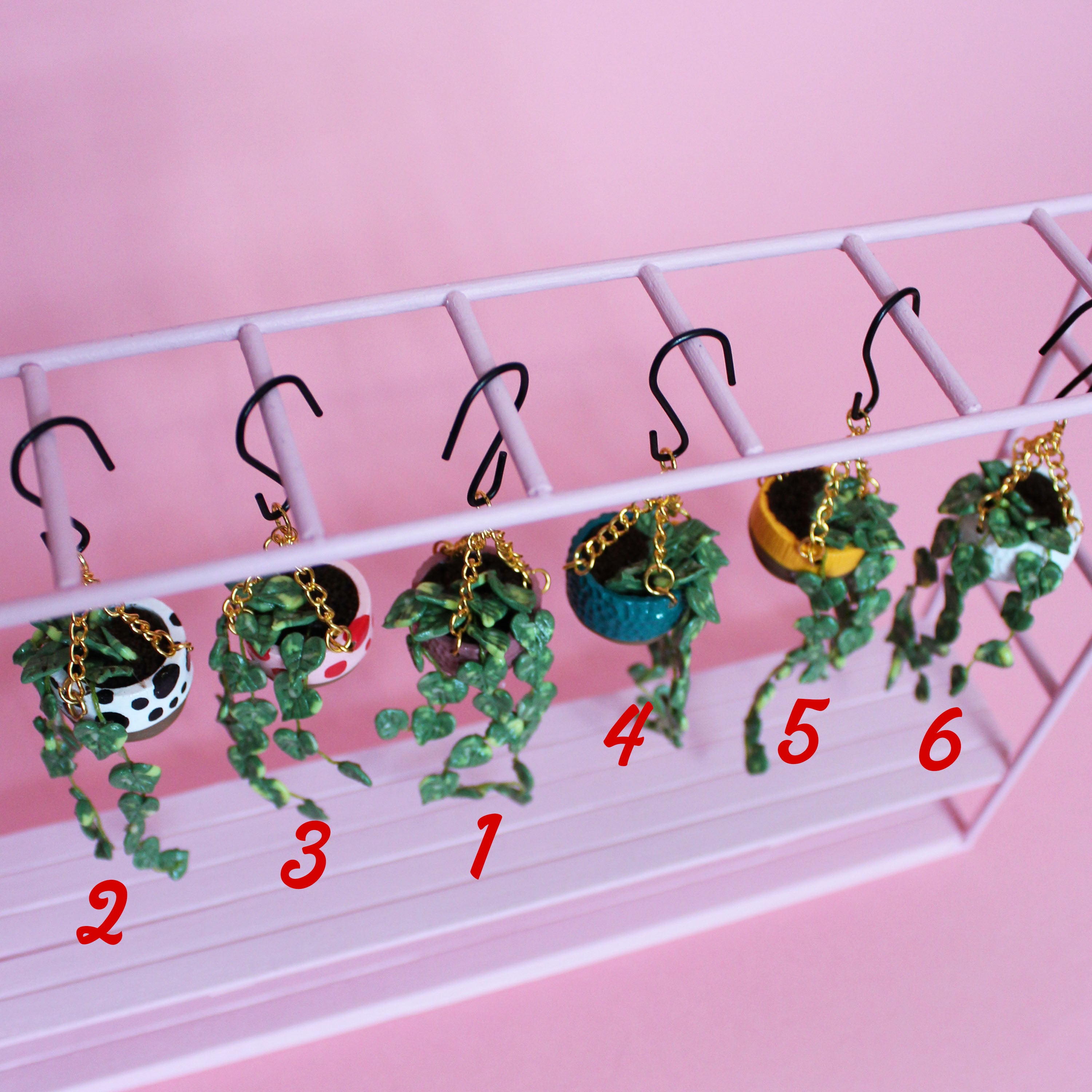 Miniature Hanging Plant