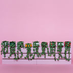Miniature Trailing Plant
