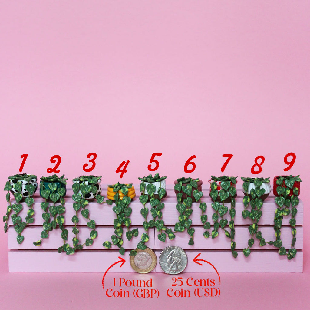Miniature Trailing Plant