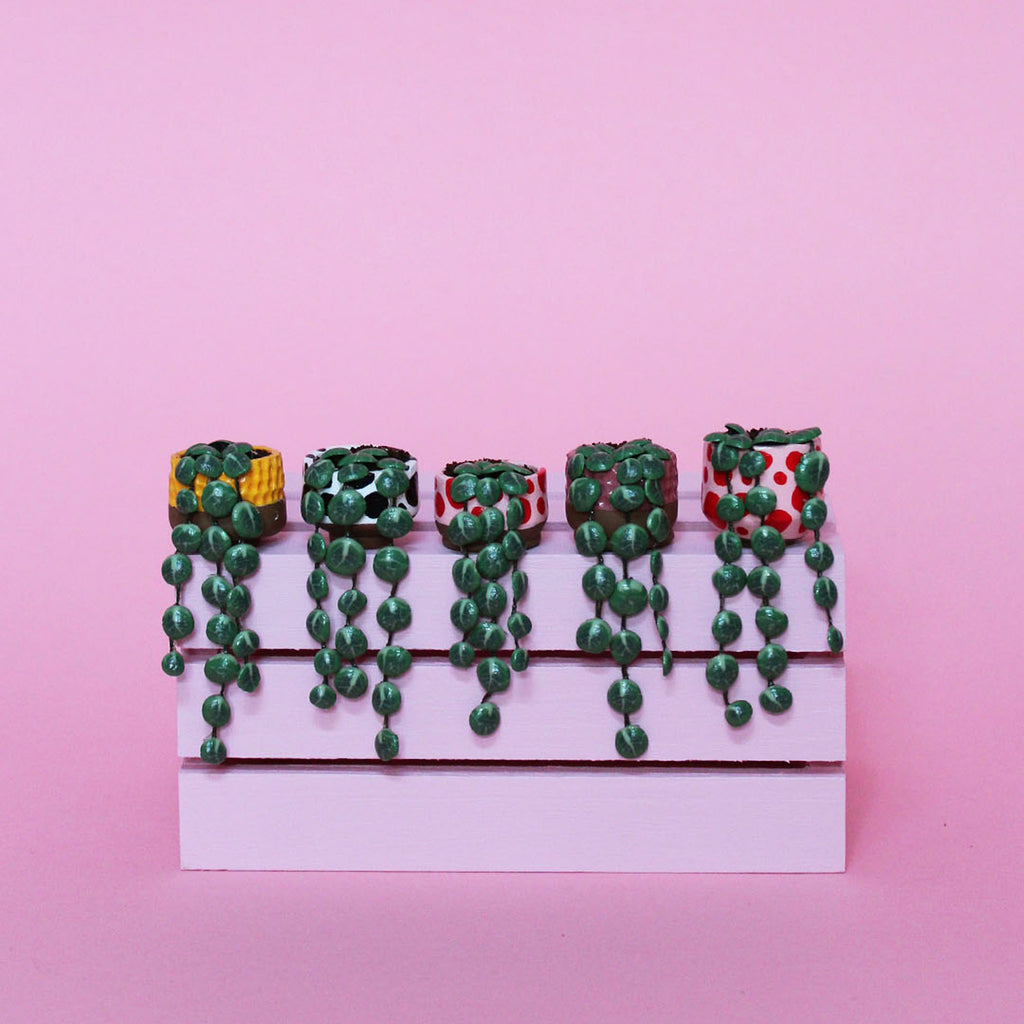 Miniature Trailing Plant