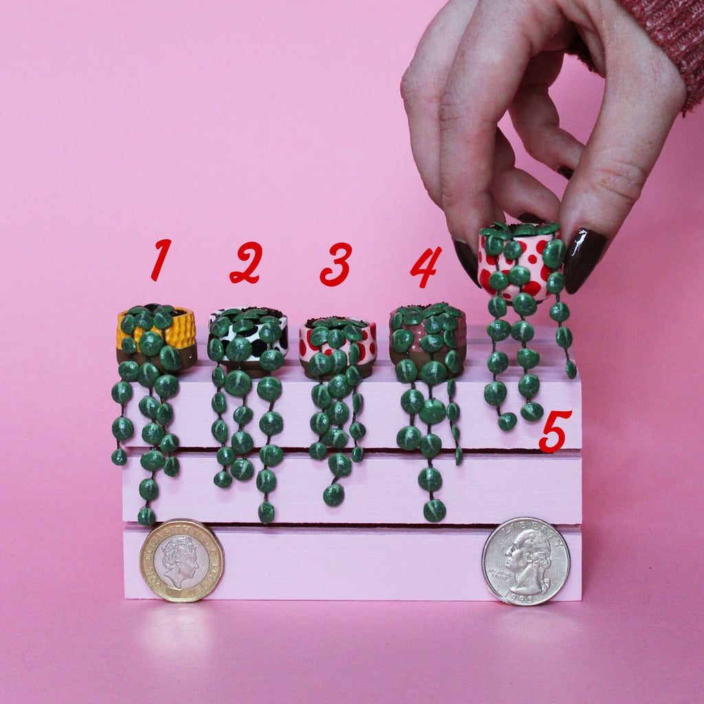 Miniature Trailing Plant