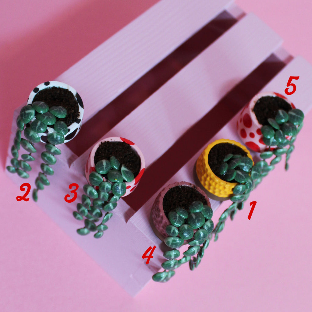 Miniature Trailing Plant