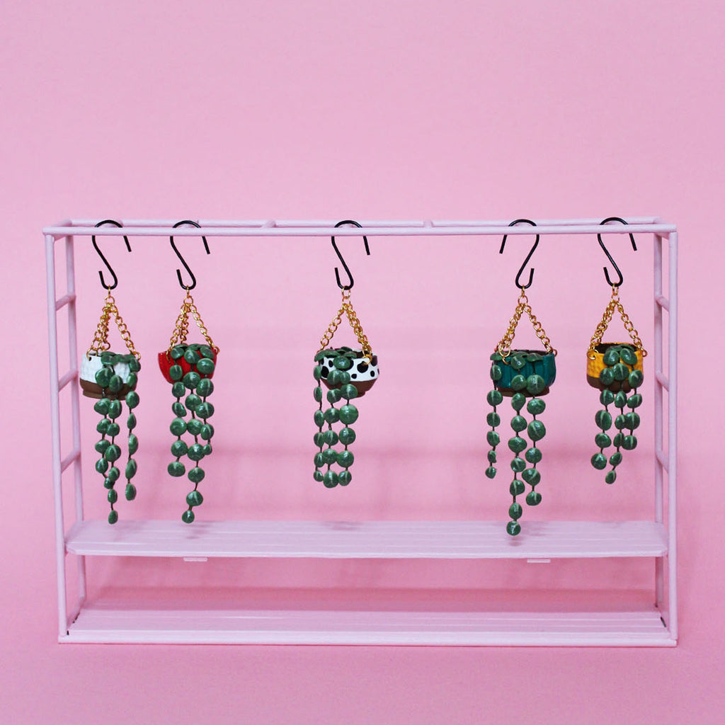 Miniature Hanging Plant