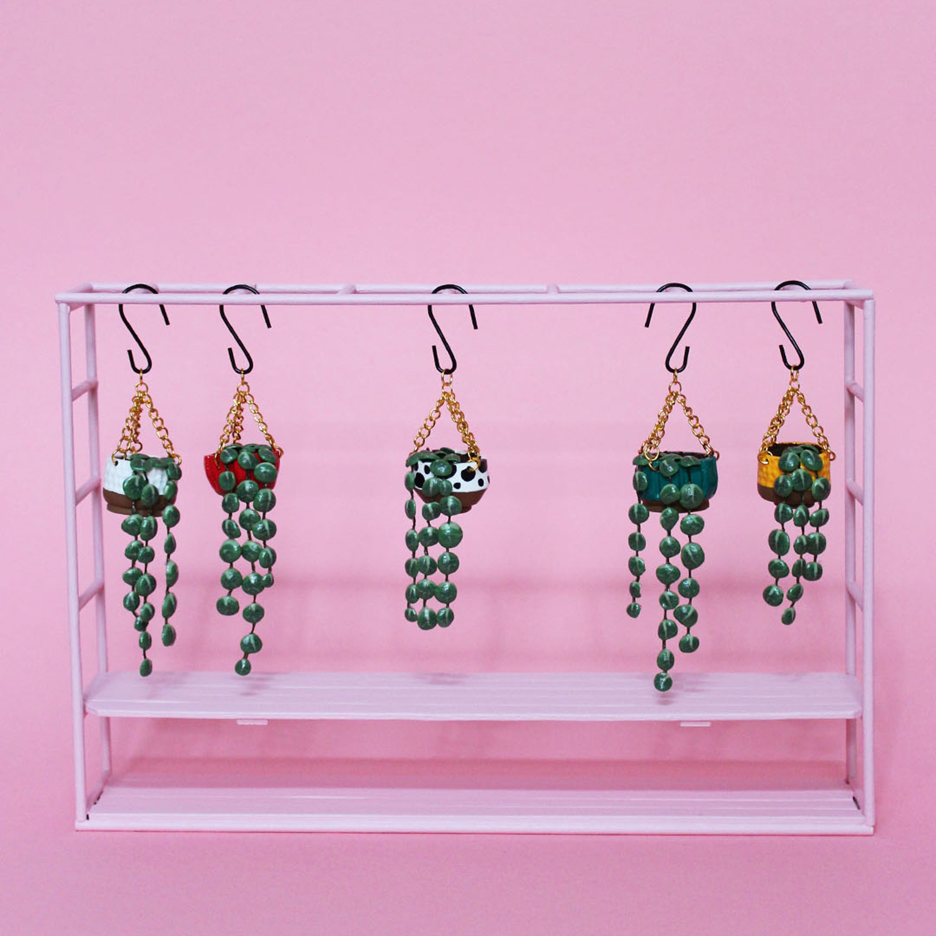 Miniature Hanging Plant