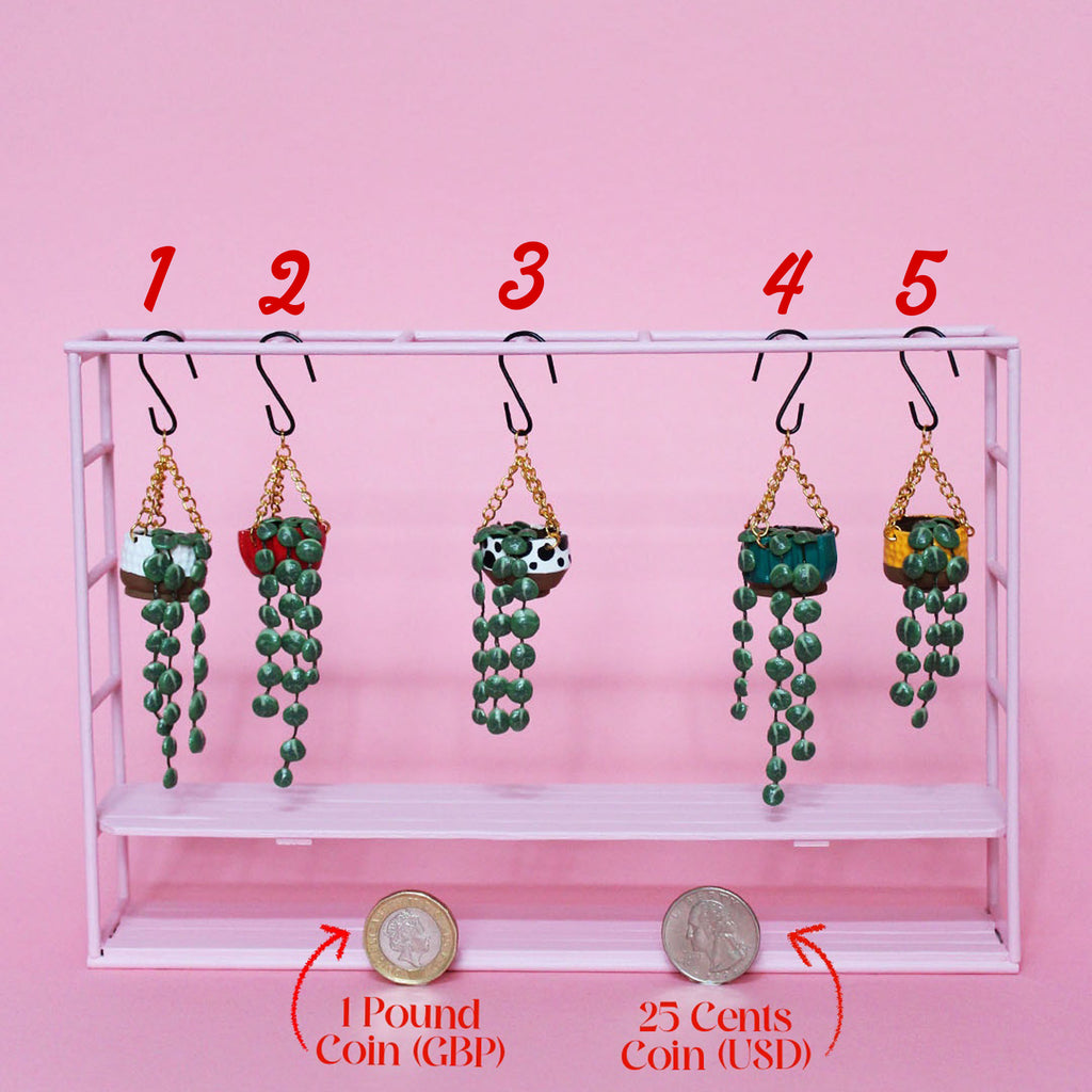 Miniature Hanging Plant