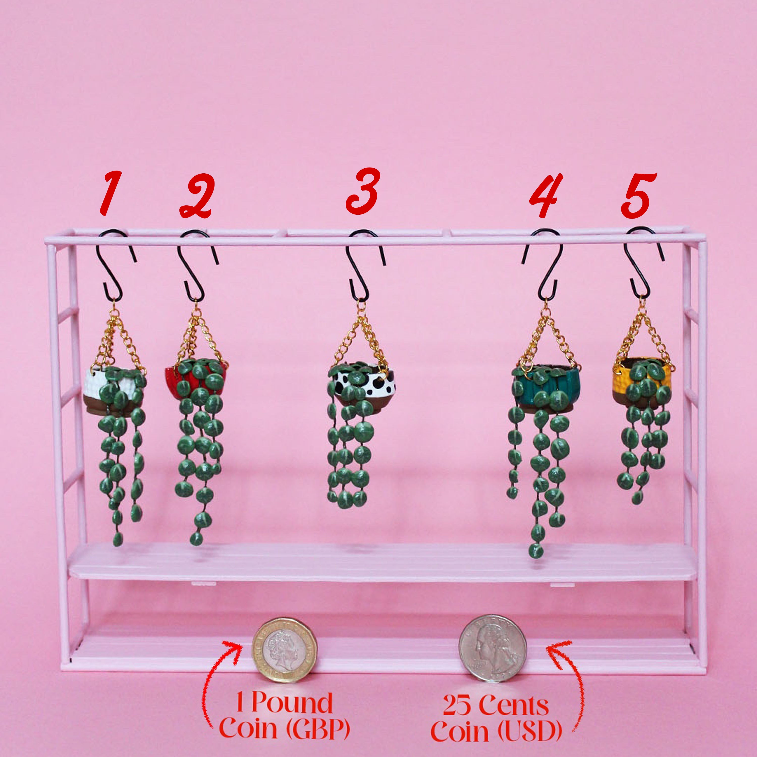 Miniature Hanging Plant