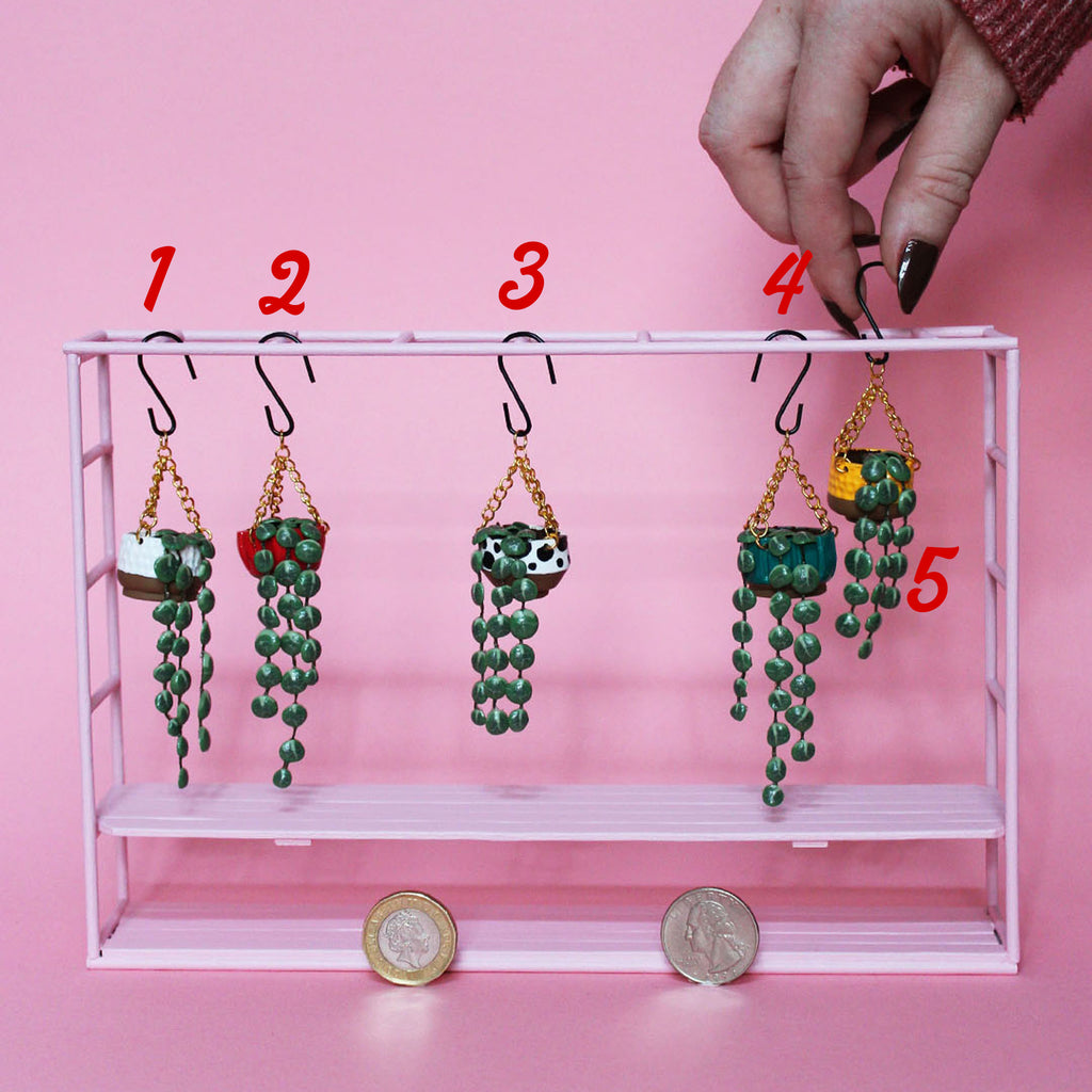 Miniature Hanging Plant