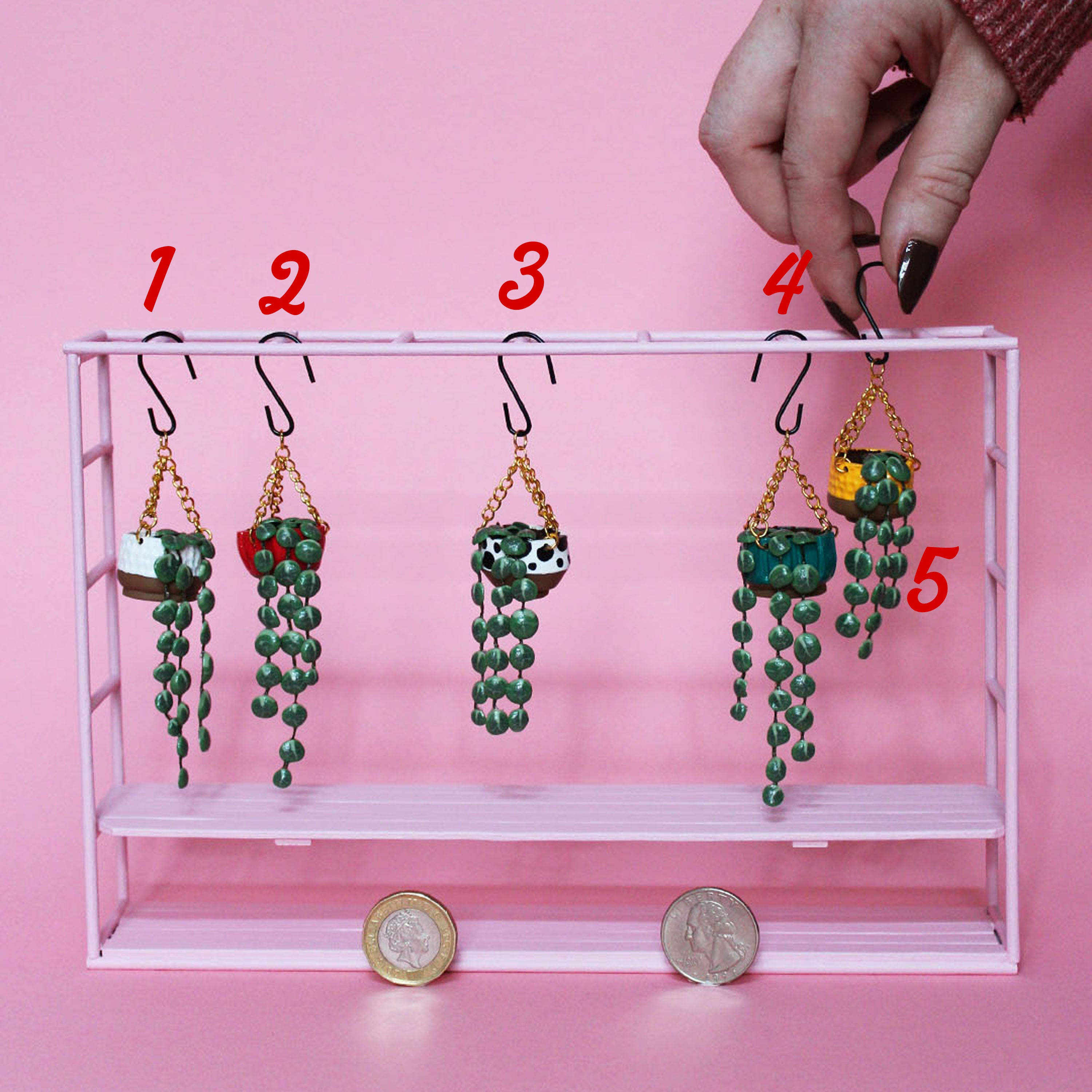 Miniature Hanging Plant