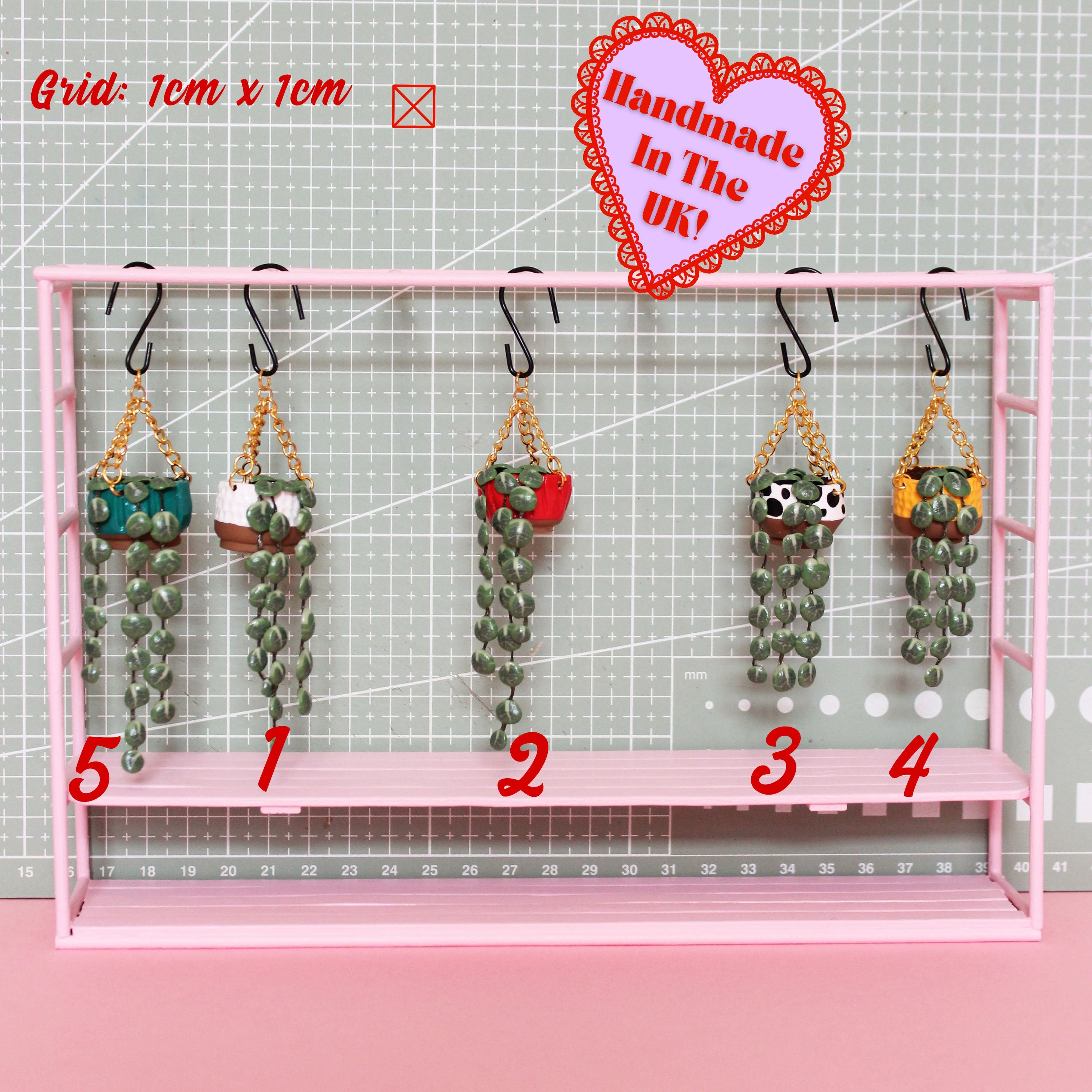 Miniature Hanging Plant