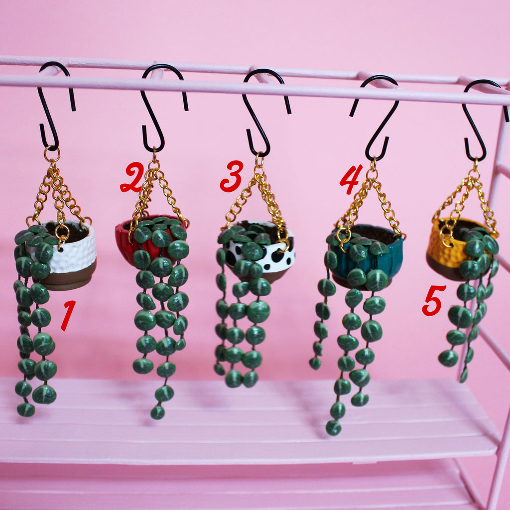 Miniature Hanging Plant