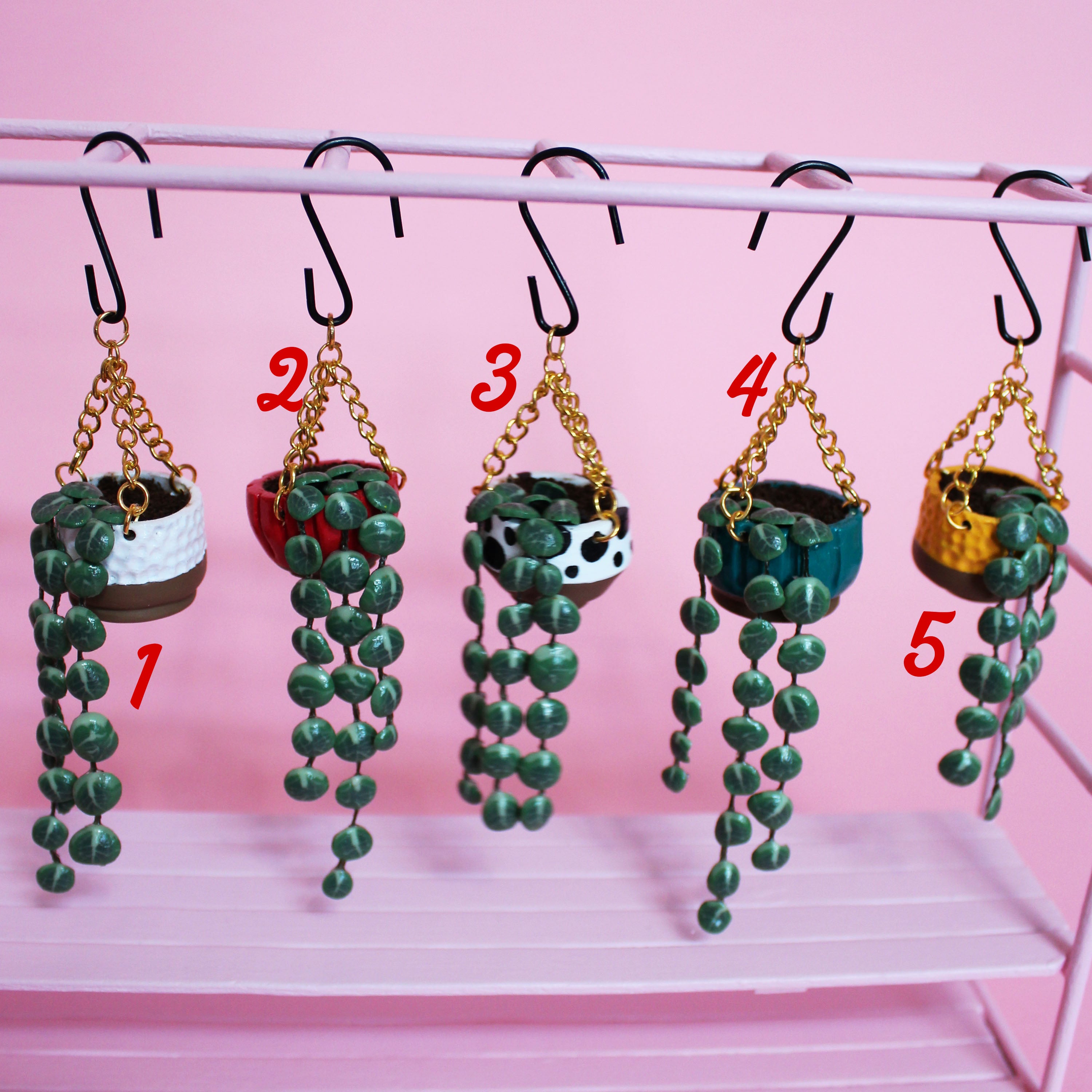 Miniature Hanging Plant