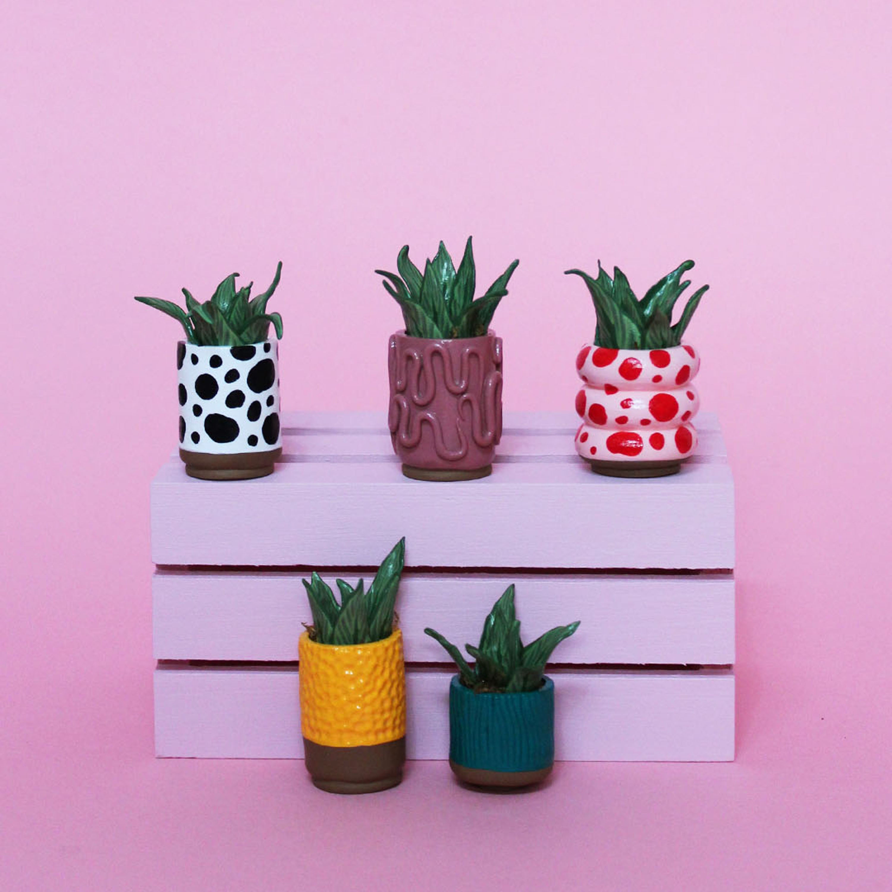 Miniature Plant