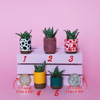 Miniature Plant