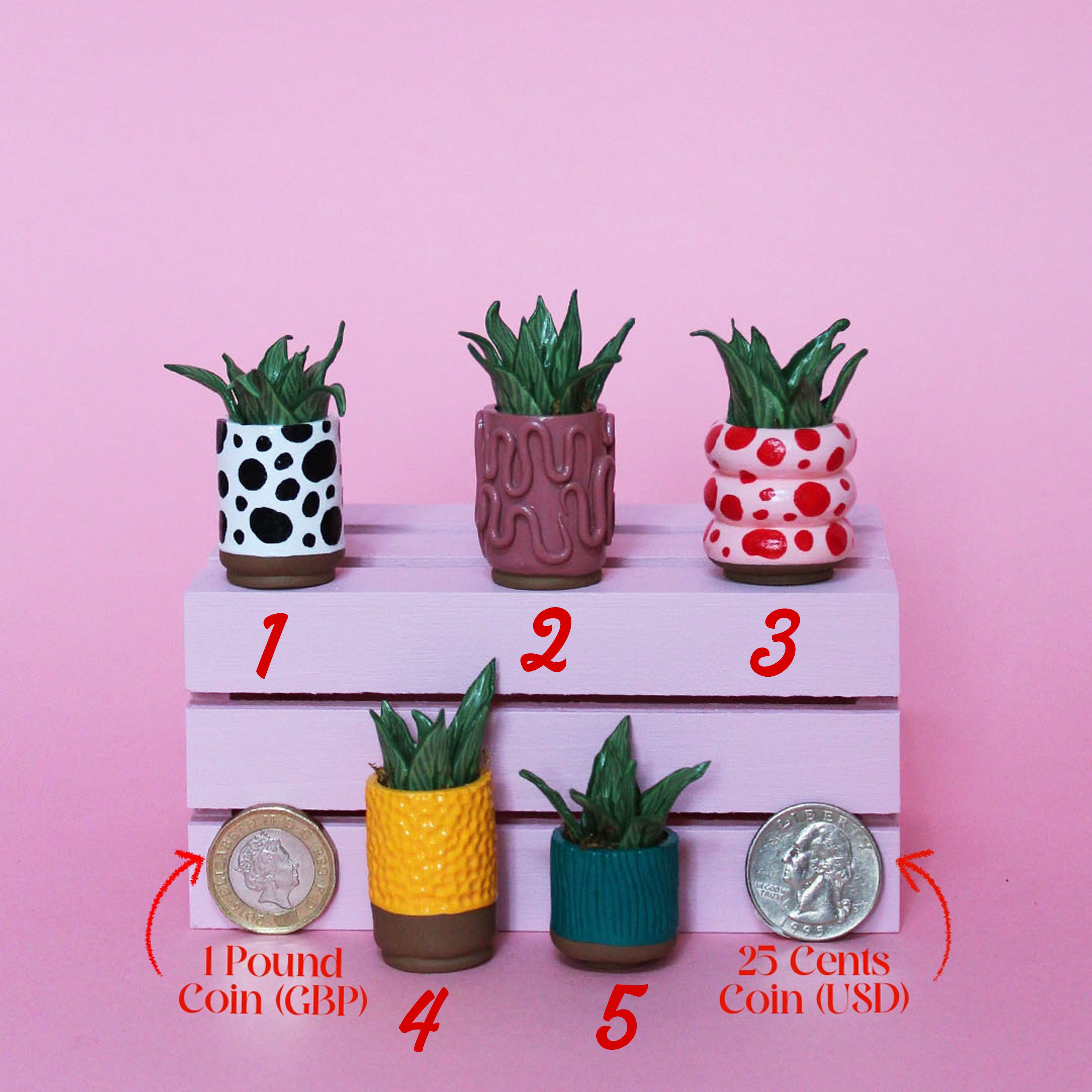 Miniature Plant