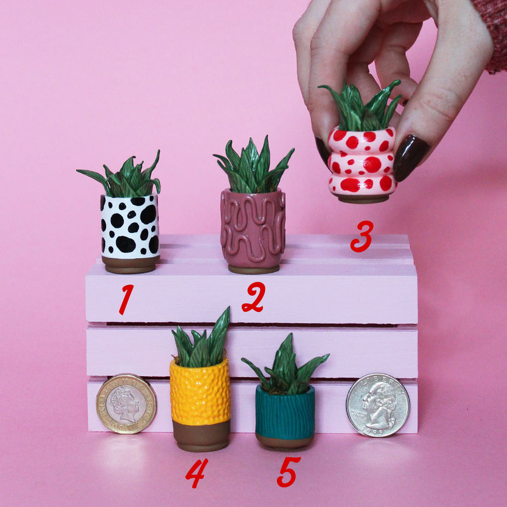 Miniature Plant