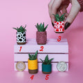 Miniature Plant