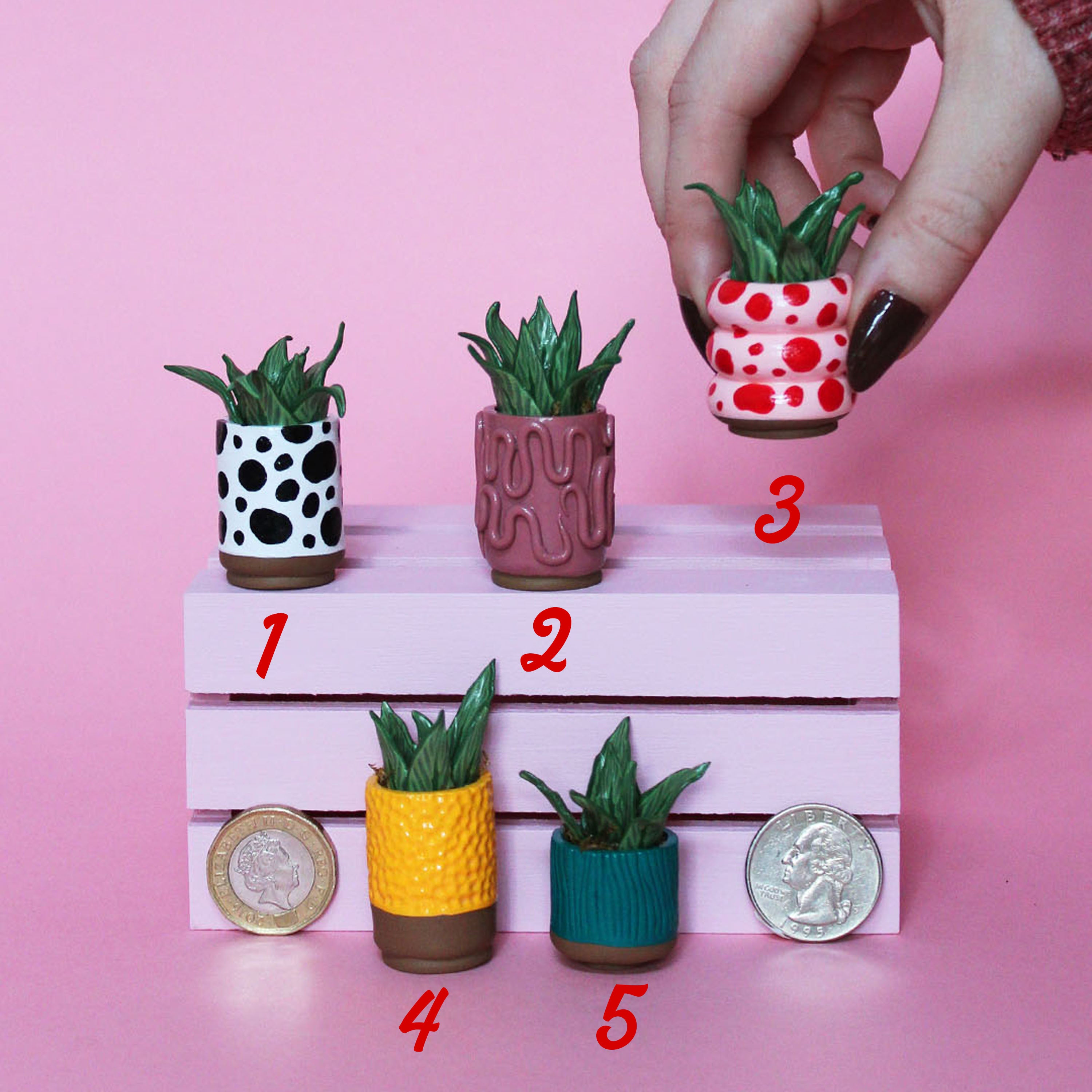 Miniature Plant