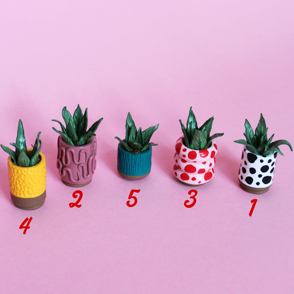 Miniature Plant