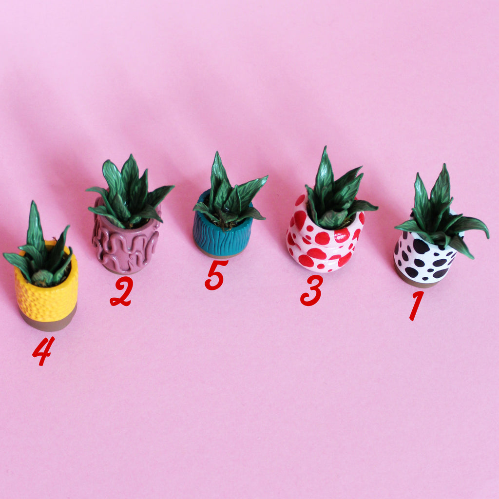 Miniature Plant