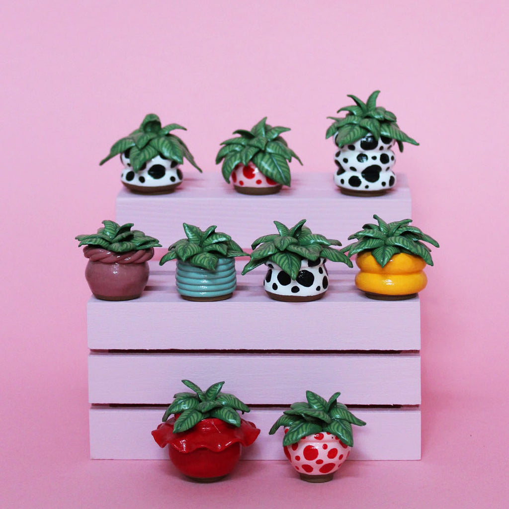Miniature Plant