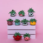 Miniature Plant
