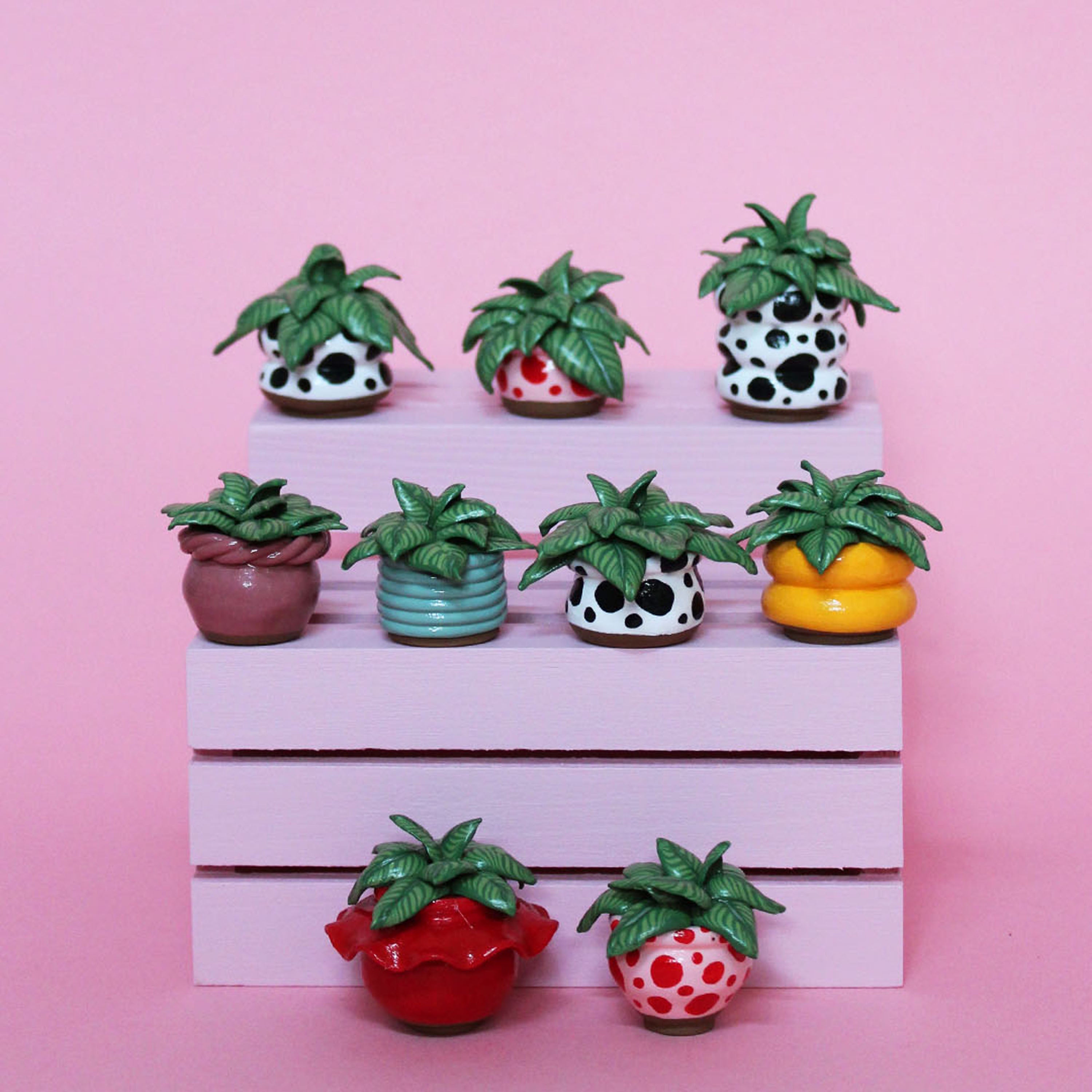 Miniature Plant