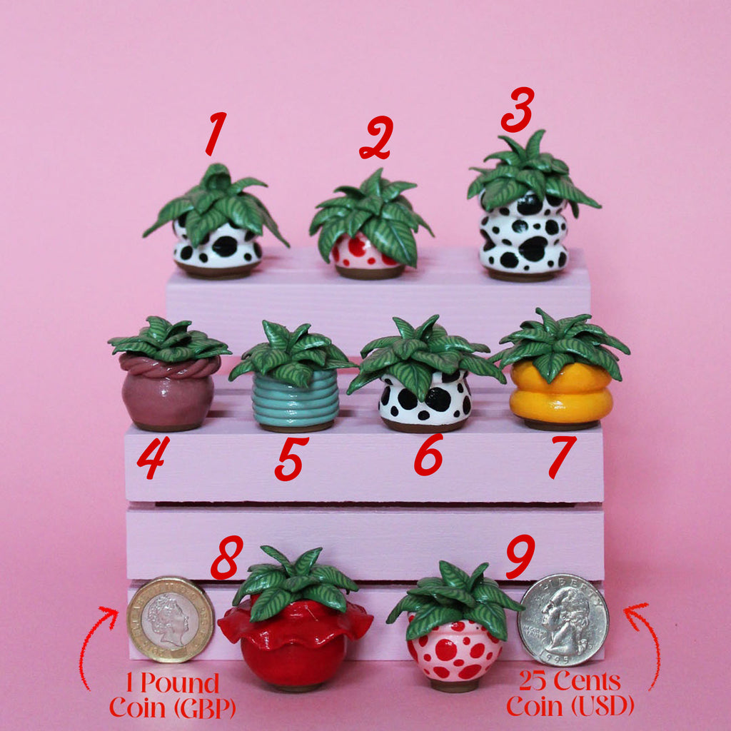 Miniature Plant