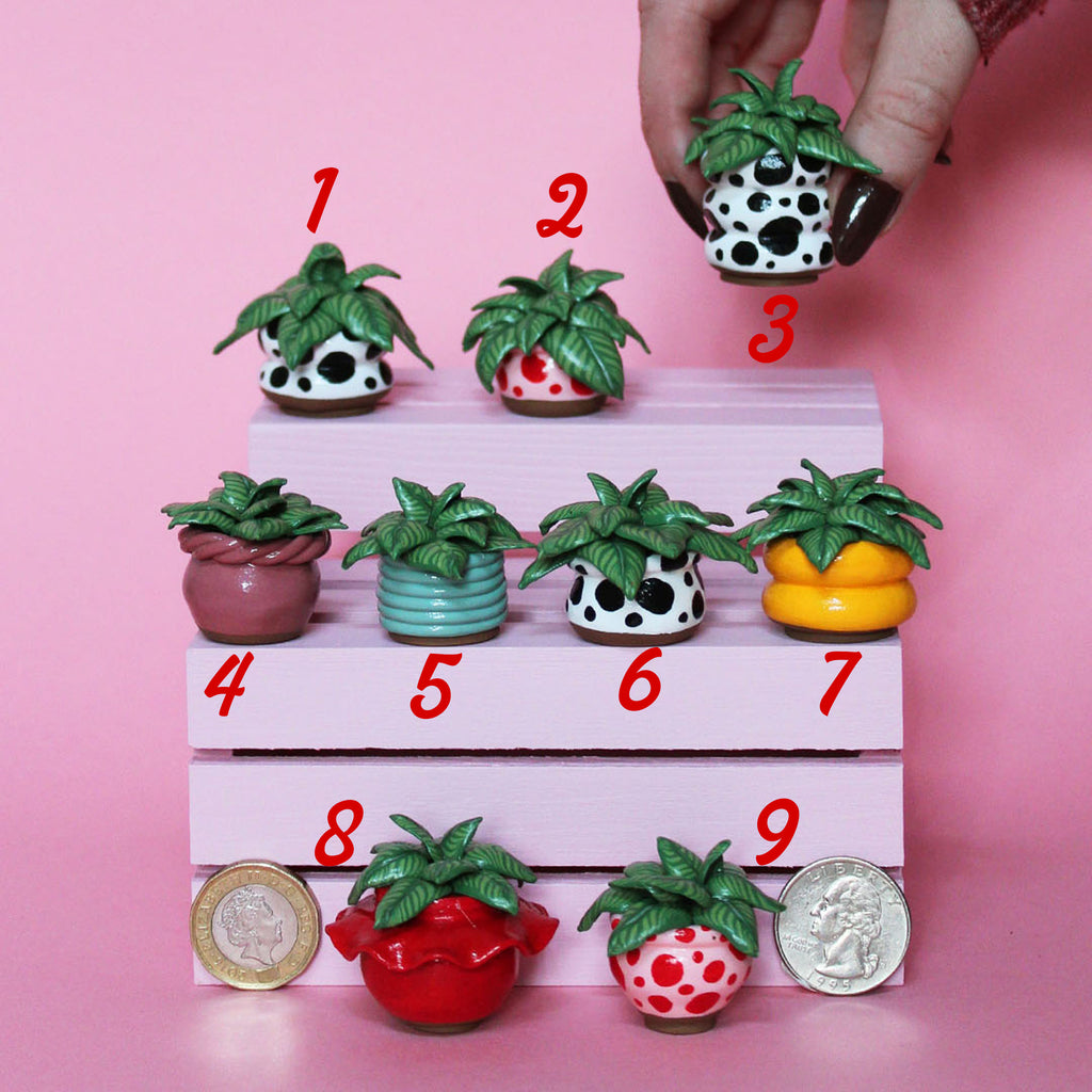 Miniature Plant