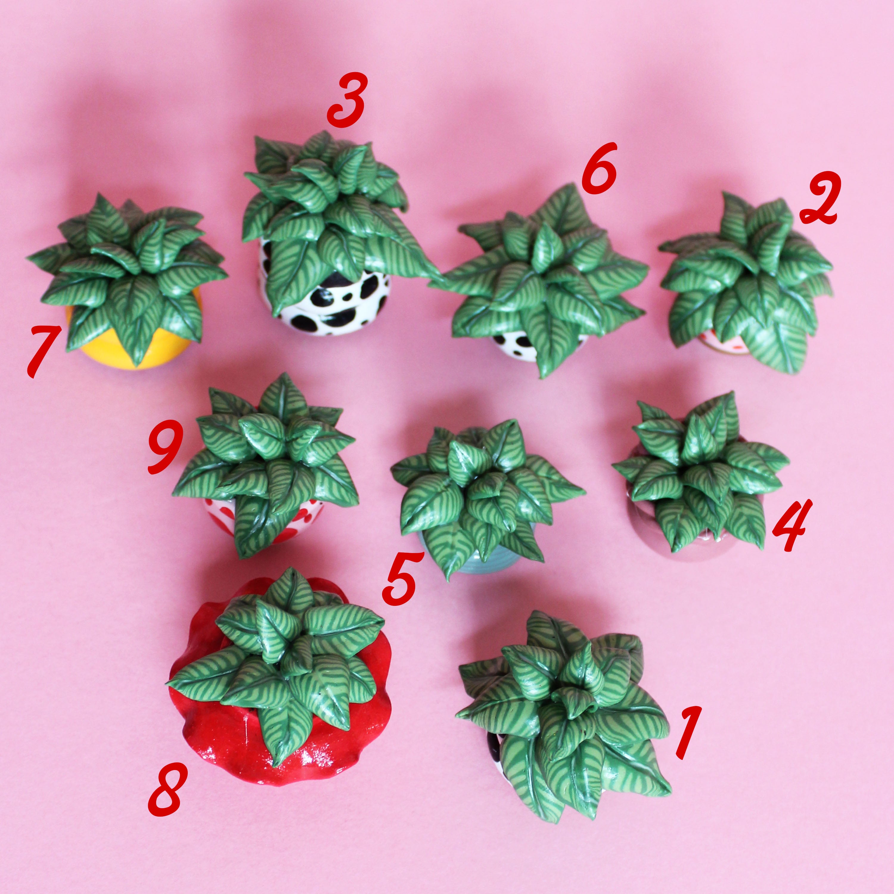 Miniature Plant