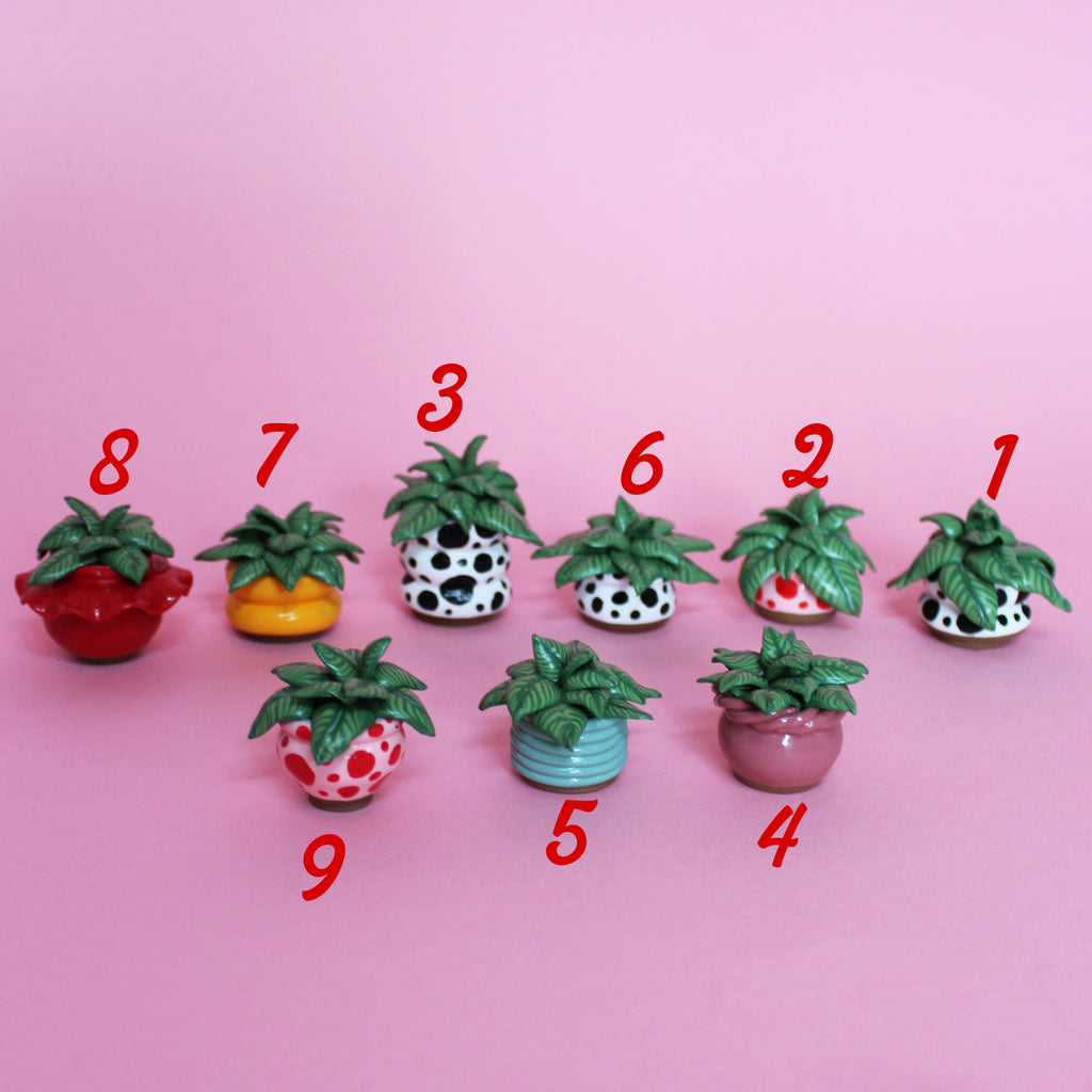 Miniature Plant