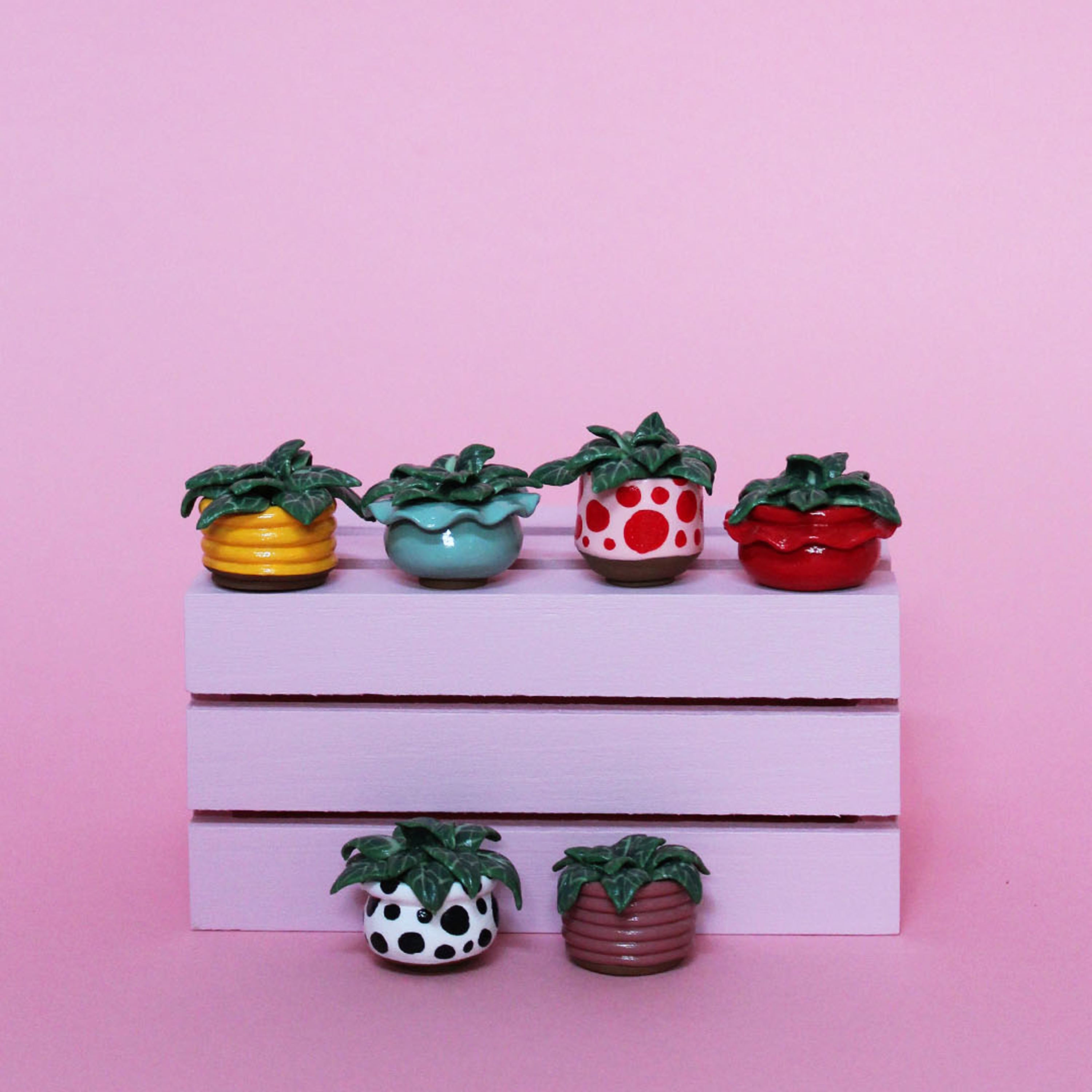 Miniature Plant