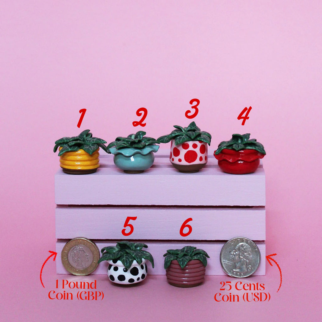 Miniature Plant
