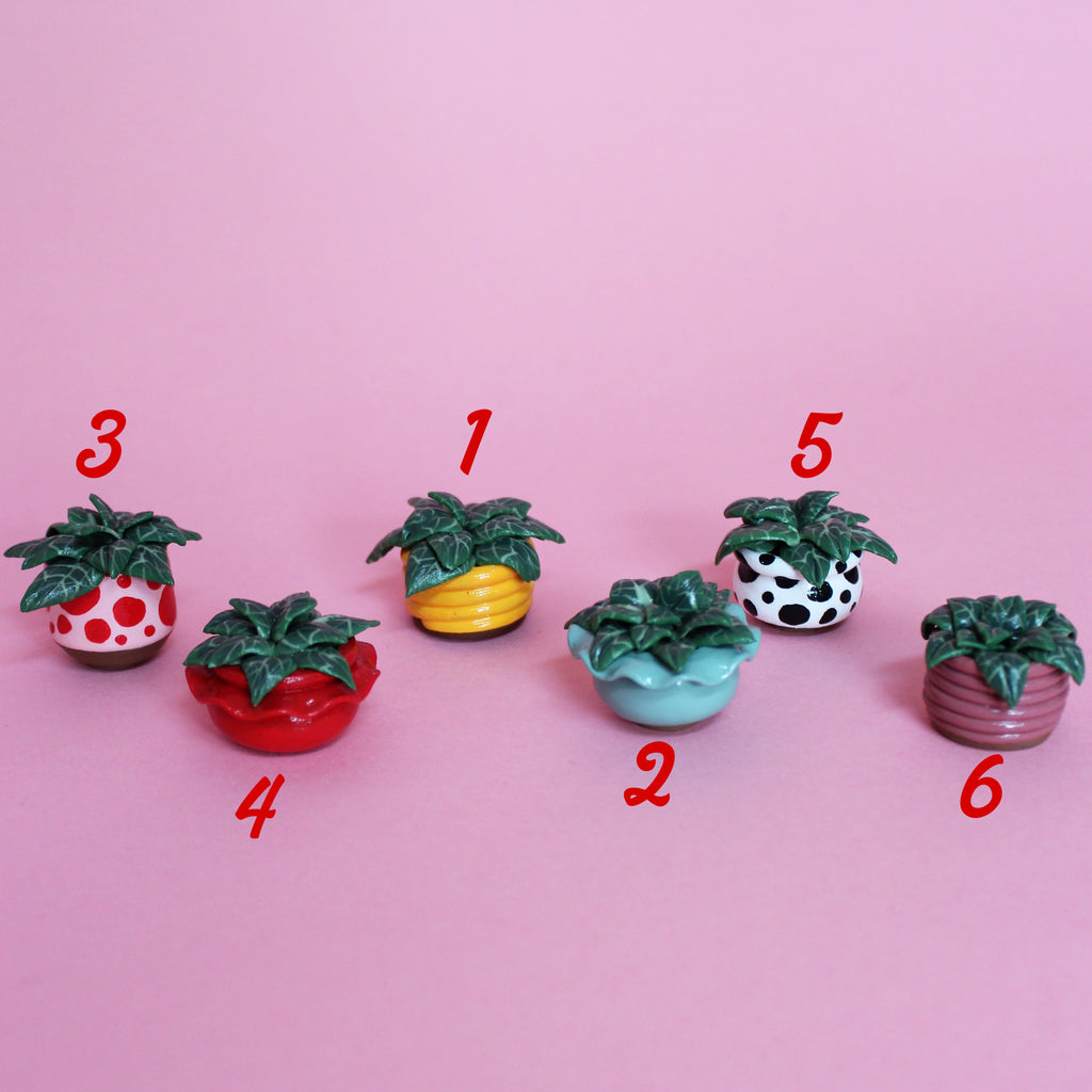 Miniature Plant