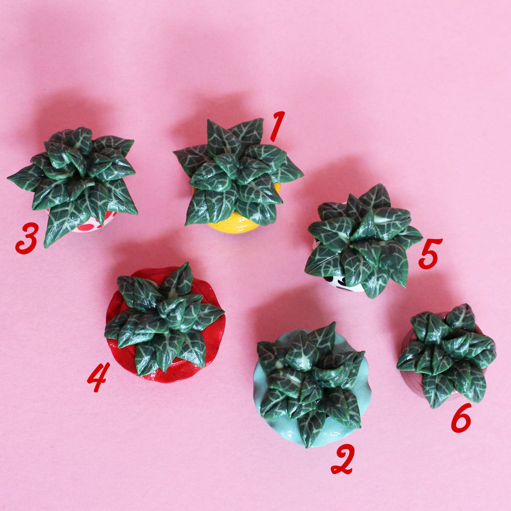 Miniature Plant