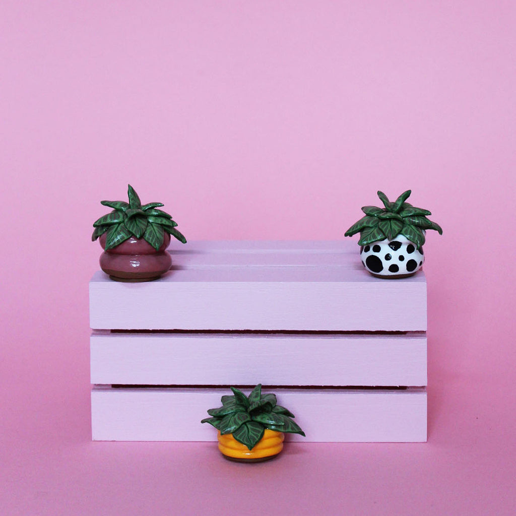 Miniature Plant