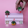 Miniature Plant