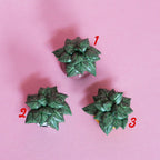 Miniature Plant