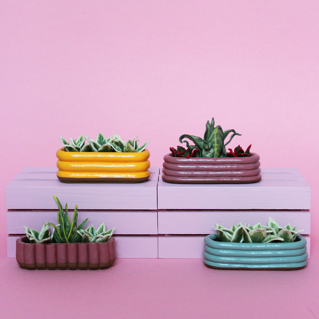 Miniature Triple Plant Planter