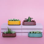 Miniature Triple Plant Planter