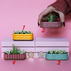 Miniature Triple Plant Planter
