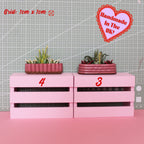 Miniature Triple Plant Planter