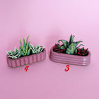Miniature Triple Plant Planter