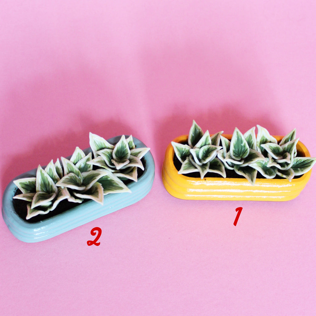 Miniature Triple Plant Planter